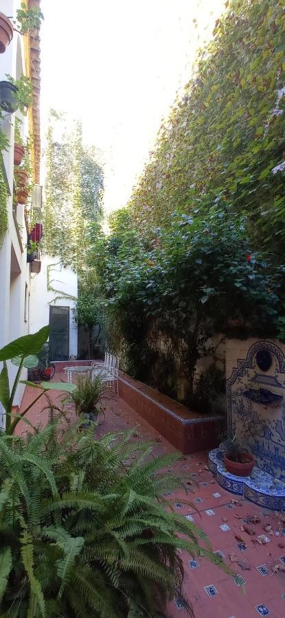 Apartamento Santa Cruz 3 Sevilla Bagian luar foto